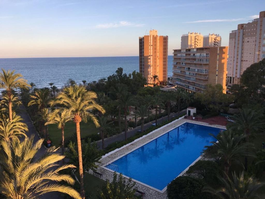 Alicante Plage Muchavista Vu Mer Piscine ,Wifi Экстерьер фото